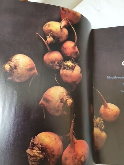 Meatless All Day Recipes For Inspired Vegetarian Meals In Very Good Condition From Pet Smoke Free Home