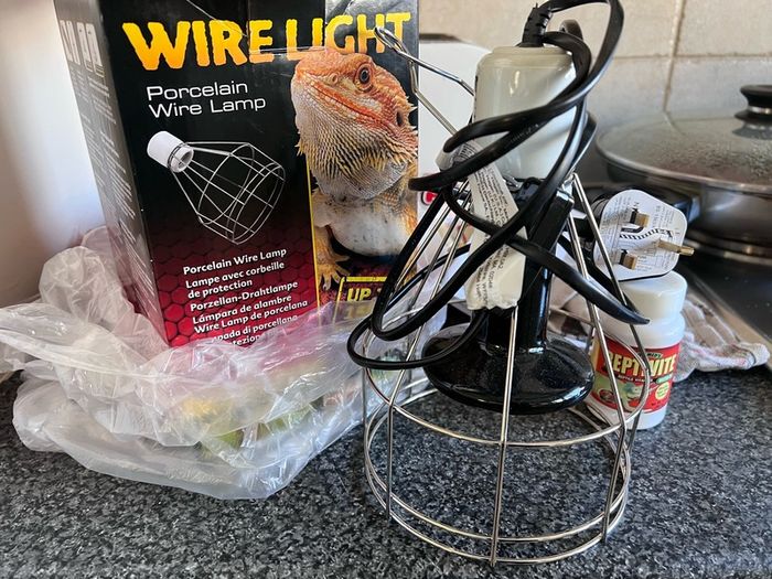 porcelain wire lamp