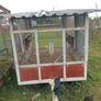 Chicken coop Image 2
