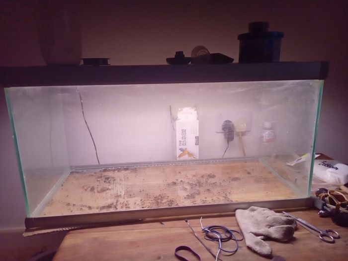 fish tank