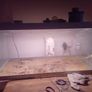 fish tank Image 3