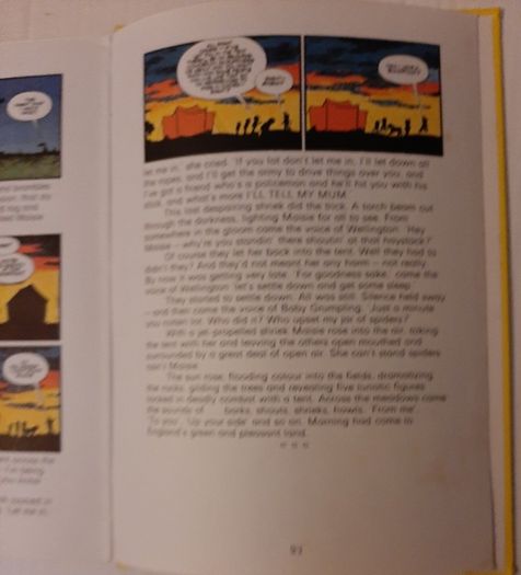 vintage 1979 The Perishers annual