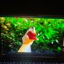 Acer Predator Helios Neo 16S AI OLED RTX 5070 Ti, Core Ultra 9, 32GB RAM Image 6