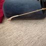 Gucci sunglasses - Bee Accent Oversize Sunglasses Image 7