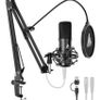 microphone Image 2