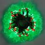 Christmas Holly LED Indoor/ Outdoor Lights Image 3
