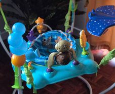 Baby Play Bouncer