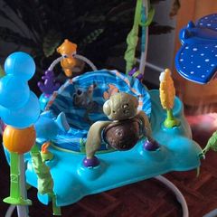 Baby Play Bouncer