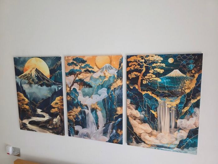 3 framed printed canvas 35x55cm each