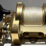 Shimano Trinidad TN 40 Image 3