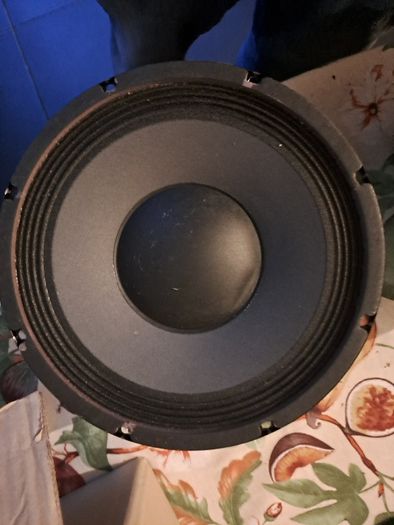 Eminence Delta 10s