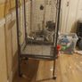 bird cage Image 2