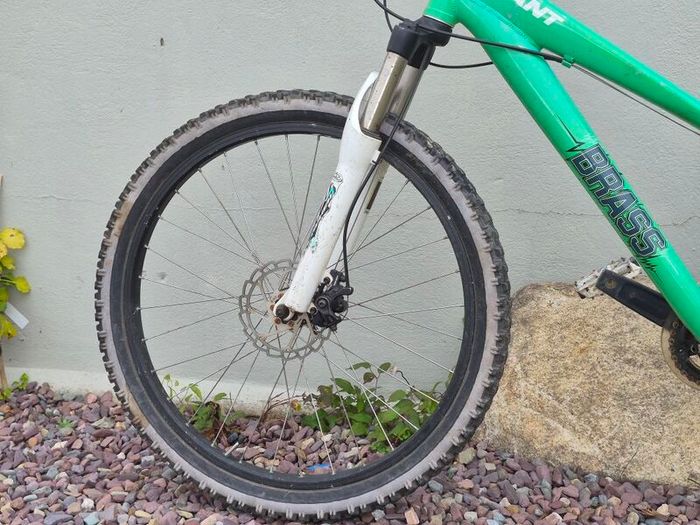 GIANT Mountain/Stunt bike