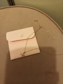 costume necklace for dog lover
