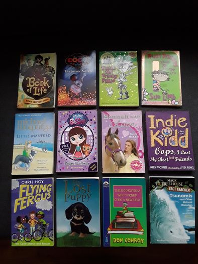 Kids books perfect for 8+ age in like new condition