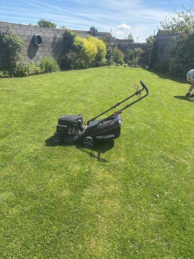 lawn