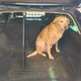 Vw passat dog guard and boot divider Image 4
