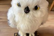 Hedwig Owl - moves and makes sounds