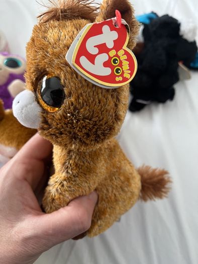 beanie boo with tags