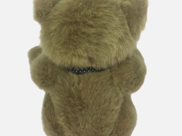 Colour box brown jointed collectors bear