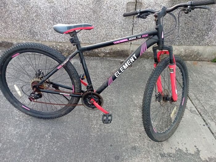 adults bike