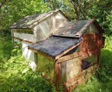 Free Needs To Go The Brown Chicken Coop
