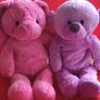Design a bear two soft toys and one pair of shoes Image 2