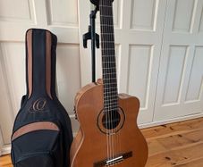 Ortega RCE159SN Electro Classical Guitar with Case