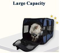 brand new pet travel cat dog