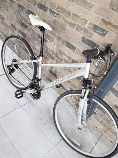 ladies bike( can deliver)