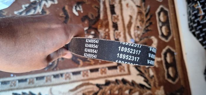 Alternator Belt / Services Belt / Serpentine Belt