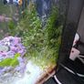 fluval nano marine marcoalgie tank Image 3