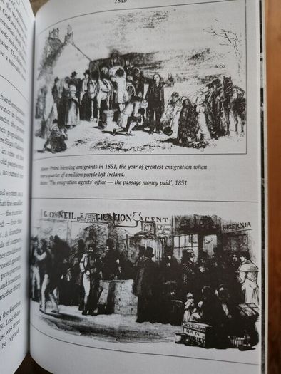 The Irish Famine. An Illustrated History By Helen Litton. First Edition Paperback In Good Condition.