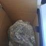 The Last Of Us Part 2 Collectors Edition boxed (ps4) Image 8