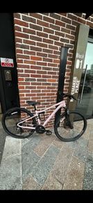 Giant Liv Rove 4 City Bike