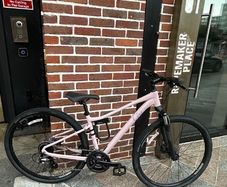 Giant Liv Rove 4 City Bike