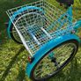 Trike Adult Image 4