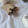 mixed flower arranging supplies Image 7