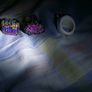 Ring haul Image 5