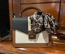 Aldo Handbag