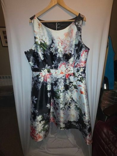 debut by debenhams dress