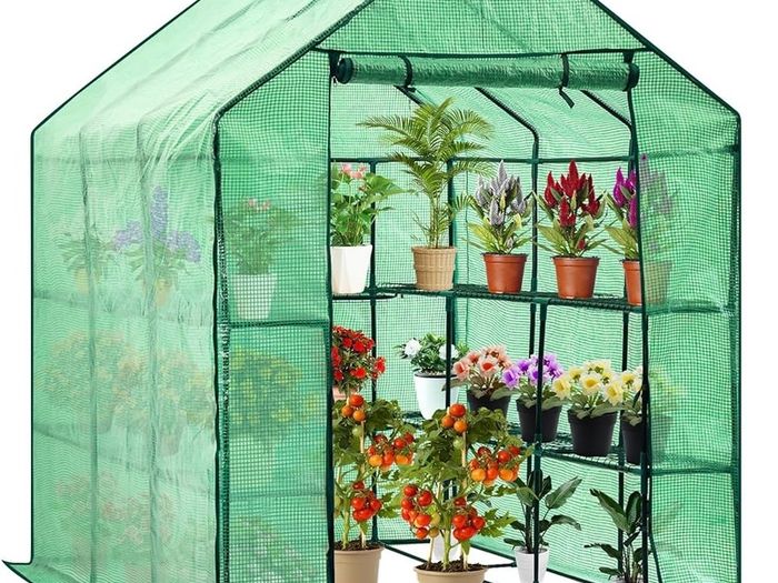 FREE EXPRESS SHIPPING Greenhouse Grow House with 8 Shelves,143 x 216 x 195 cm