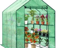 FREE EXPRESS SHIPPING Greenhouse Grow House with 8 Shelves,143 x 216 x 195 cm