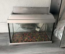 Fish Tank with Aquarium Light