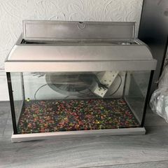 Fish Tank with Aquarium Light