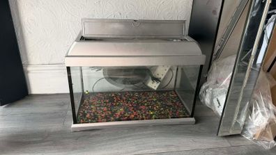 Fish Tank with Aquarium Light