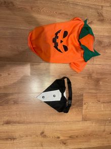 dog costume