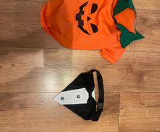 dog costume