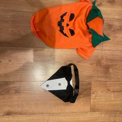 dog costume