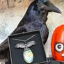 Powerful High Quality Spectoralite Labradorite Crystal And Raven Soldered Amulet Talisman Chain Image 6